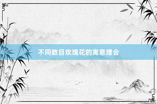 不同数目玫瑰花的寓意理会