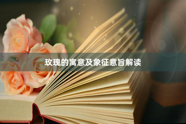 玫瑰的寓意及象征意旨解读